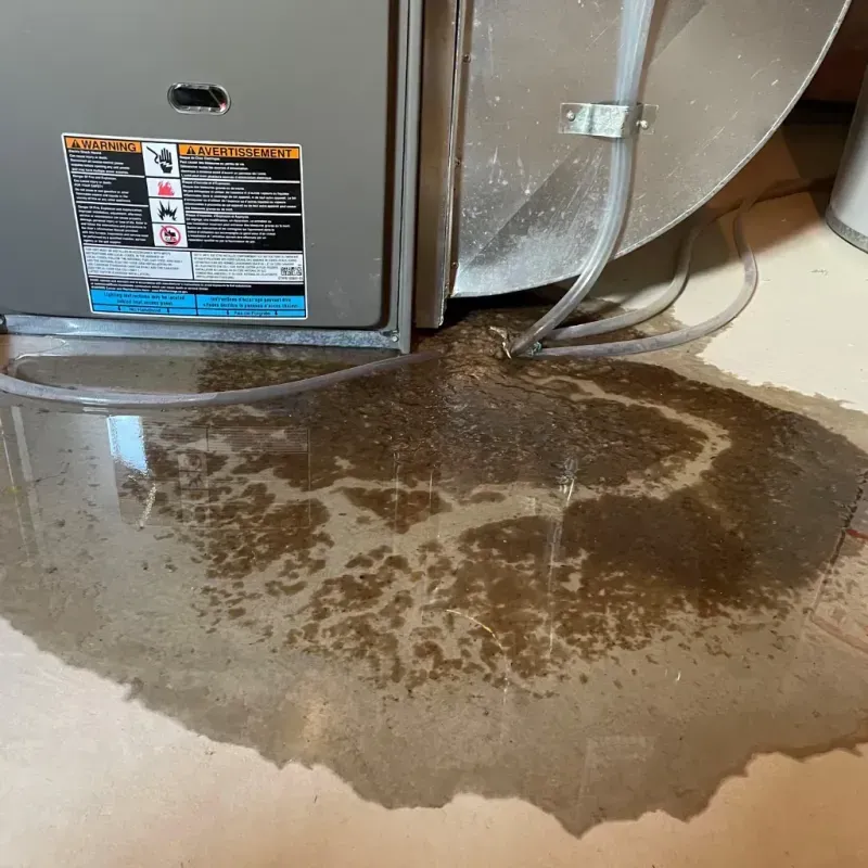 Appliance Leak Cleanup in Dry Ridge, KY